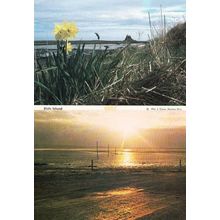 Pilgrims Way Holy Island Northumberland Womens Institute Rare 2 Postcard s