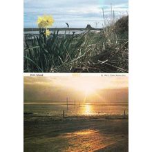 Pilgrims Way Holy Island Northumberland Womens Institute Rare 2 Postcard s