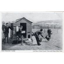 Poultry Farm Alton Hants Cripples Home Antique Farming Postcard