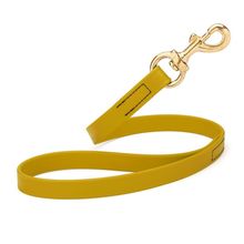 Dog Pet Leash with Brass Hardware W 3/4” L 20”, Treasure Gold