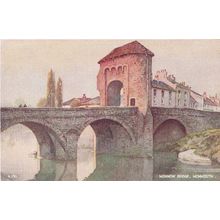 Monmow Bridge Monmouth Valentines Oilette Postcard Mint