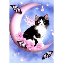 Kitten Moon - 14180