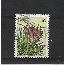 SouthAfrica.SG414 1c Protea Repens.Fine Used.Sep25t