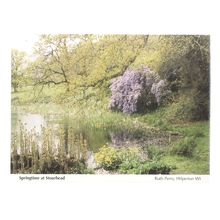 SPRINGTIME AT STOURHEAD, WILTSHIRE. used vintage postcard =
