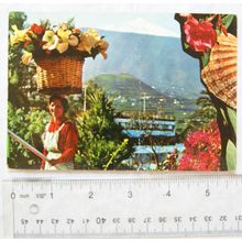 1972 postcard Puerto de la Cruz, Tenerife