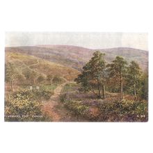 WEBBER'S POST, EXMOOR,Somerset used vintage postcard by Bamforth 1973 postmark =