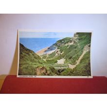 BLACKGANG CHINE, ISLE OF WIGHT unused vintage postcard 'Bay' Series 1950s =