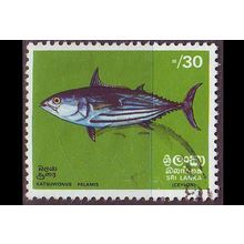 CEYLON SRI LANKA [1972] MiNr 0430 ( O/used ) [La] Fische