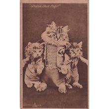 Where's That Pup Anthropomorphic Kitten Cats Old Postcard