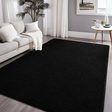 Nuttumico Large Modern Area Rugs for Bedroom Living Room, 5X7 Feet Black Rug, Th