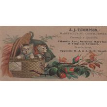 Crazy Angry Cats Antique Confectionary USA Shop Advertising Card