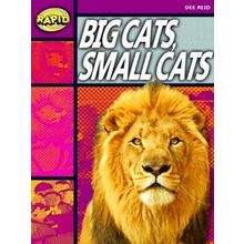 Rapid Stage 1 Set A: Big Cats Small Cats (Series 1) - Dee Reid