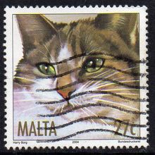 Malta 2004 Cats - Brown Tabby 27c Used