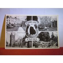 multiview, EXETER, DEVON unused postcard =