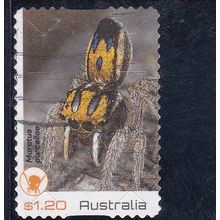 Australia 2023 - Peacock Spiders, Maratus purcellae -$1.20 s/a used