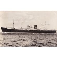 MS Argentin Argentina Swedish America Line DFDS Ship RPC Postcard