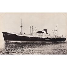 MS Uruguay Swedish America Line DFDS Ship RPC Postcard