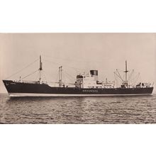 MS Arkansas Swedish America Line DFDS Ship RPC Postcard