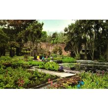 Postcard Logan Gardens, Wigtown, Dumfries and Galloway, Scotland. Unposted