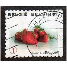 BEL 2007 (52c)(S/A) 'FRUIT- STRAWBERRIES' FINE USED (EBID10374)