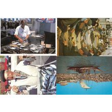Algarve Sardine Cooking Pepsi Cola Umbrella Net Repair 4x Portugal Postcard s