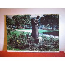 WOODEN DOLLY, NORTH SHIELDS unused postcard Earsdon Grange W.I. Tyne & Wear =