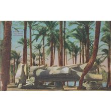 Memphis The Statue Of Rameses WW1 1917 Wartime Egyptian Postcard