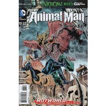 ANIMAL MAN #13 - DC COMICS (2012)