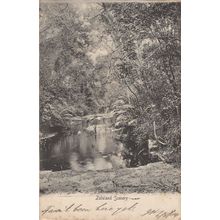 Zululand Scenery Antique New Zealand 1904 Zulu Postcard