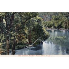 Kokokoro Reservoir Petone Water Supply New Zealand Antique Postcard