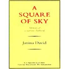 A Square Of Sky