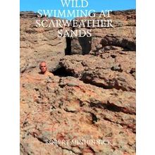 Wild Swimming At Scarweather Sands