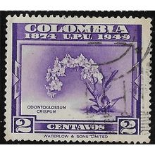 1950 Michel 591 - fine used (o)