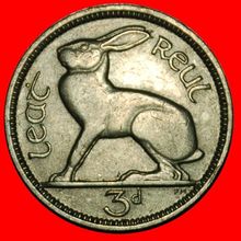 Ⰶ GREAT BRITAIN (1928-1935): IRELAND ★ 3 PENCE 1934 HARE! ★LOW START★NO RESERVE