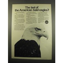 1984 National Wildlife Federation Ad - Bald Eagles