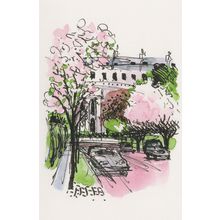 Regents Park Chester Road Terrace London Painting Postcard