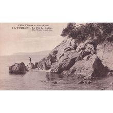 Toulon Wales Pine Tree Cote D'Azur French Cote D'Azur Postcard