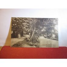 LOVER'S WALK & ENTRANCE GATE, SIDMOUTH, DEVON used antique postcard by F Frith =