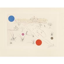 Salvador Dalí - Visions of Chicago 1972 Picture 1 Poster Canvas Movie Film Print