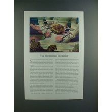 1942 Travelers Insurance Ad w/ Crab, Melia Tessellata