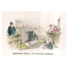 SHEEPDOG TRIALS.. humour.. unused postcard by J.Arthur Dixon PHU/25919 #