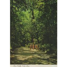 Women Rambling at Fern Gully Oche Rios Jamaica Postcard