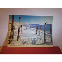 SUNSHINE & SNOW IN THE HIGH CAIRNGORMS, SCOTLAND used postcard 1983 pm =