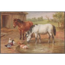 Ducks and Ponies, c.1930s - Salmon Postcard