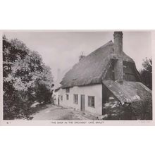 Shop In The Orchard Village Cafe Barley Hertfordshire Antique RPC Photo Postcard