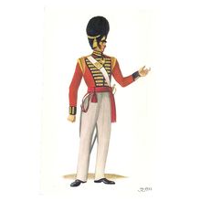 GRENADIER COMPANY, 1st (royal) REGIMENT OF FOOT. 1836 uniform postcard =