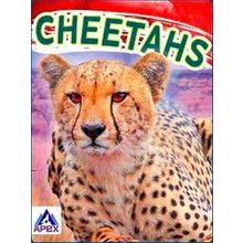 Wild Cats
