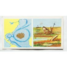 1961 Cooper's Tea card Strange but True No. 49 The Grave of Sailing Ships