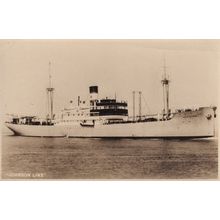 MS Annie Johnson Line Ship Real Photo Old Postcard