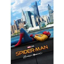 SpiderManHomecoming2 Poster Canvas Movie Film Print A0 A1 A2 A3 A4 A5 A6 Art Wal